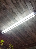 20170323_194316.jpg