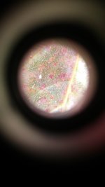 0323172042_HDR.jpg