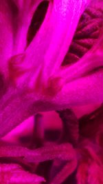 photo14342.jpg