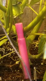 20170326_065444.jpg