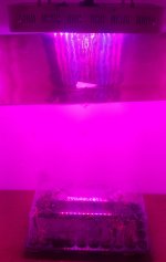 20170328_105441-1.jpg