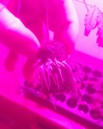 20170328_105506-1.jpg