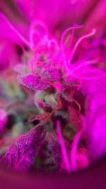 20170330_154451.jpg