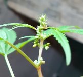20170331_022034.jpg