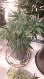 20170329_101212.jpg