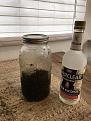 Tincture.jpg