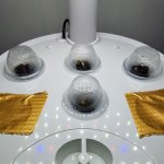 photo135684.jpg