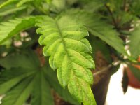 IMG_0303.JPG