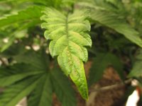 IMG_0304.JPG