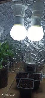 IMG_20210427_151709.jpg