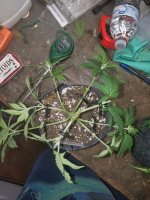 photo138022.jpg