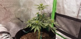 photo138523.jpg