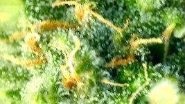 06555065-208E-4687-9848-17A6BAD816A0.jpeg