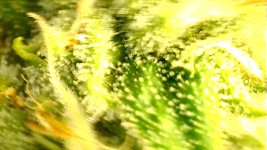 87D932A8-6D2F-46C7-91AE-68D04FB33E10.jpeg