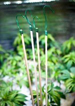 Click image for larger version  Name:	04-19-2021 Plant Stakes - 1.jpeg Views:	0 Size:	241.3 KB ID:	515147
