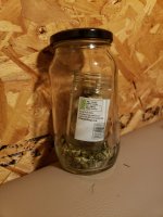 jar in jar.jpg