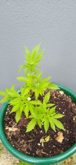 IMG_20210609_181422.jpg