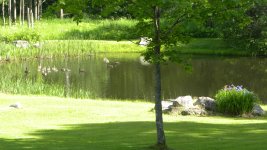 DSCN5164.JPG