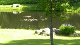 DSCN5160.JPG