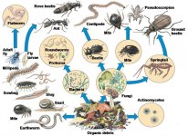 photo140526.jpg