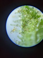 PXL_20210616_170250082.jpg