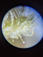 PXL_20210616_170853843.jpg
