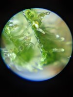 PXL_20210616_171006537.jpg