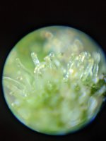 PXL_20210616_171105119.jpg