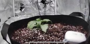 BDBCCA0F-398E-4842-B54A-760DEDE90824.jpeg