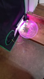 photo141162.jpg