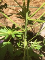 received_913823812821664.jpeg