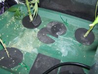 photo142063.jpg