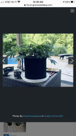 photo142569.png
