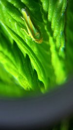 20210724_193725.jpg