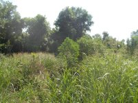 DSCN1876.JPG