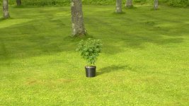 DSCN5175.JPG