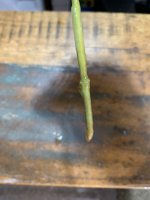 photo143334.jpg