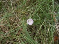 photo143674.jpg
