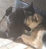 20201208_101945.jpg