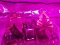 20210830_090245.jpg
