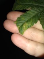 IMG_20210911_103252620.jpg