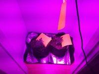 20210905_035942.jpg