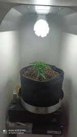 IMG_20210913_185310.jpg