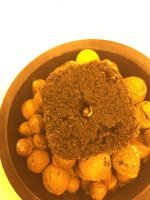 photo15232.jpg