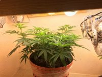 IMG_1996.JPG