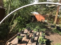 photo15873.jpg