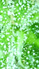 2021_09_29_17_50_28_507.png.jpg