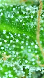 2021_09_29_17_50_36_339.png.jpg