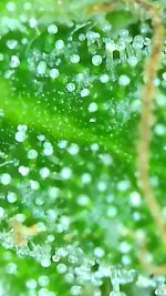 2021_09_29_17_50_35_469.png.jpg