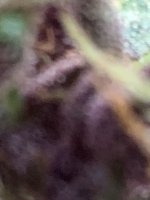 photo147633.jpg